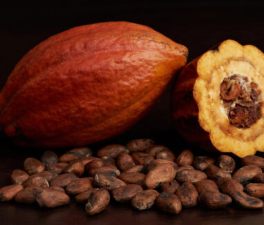 vaina-cacao-semillas-secas-2_98